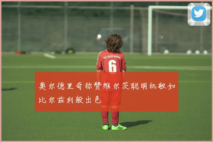 奥尔德里奇称赞维尔茨聪明机敏如比尔兹利般出色